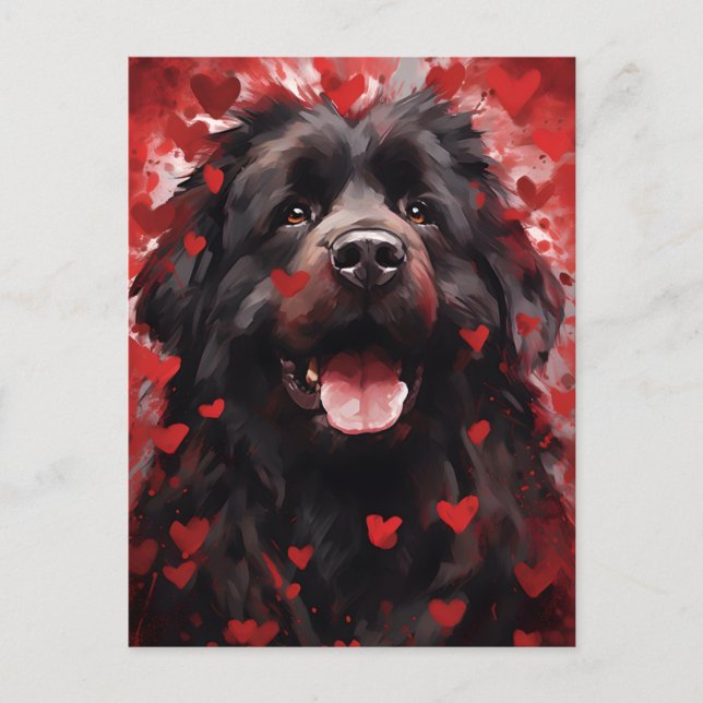 Neufundland-Hund-Valentinstag Postkarte (Vorderseite)