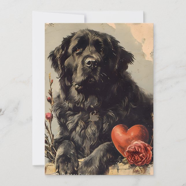 Neufundland Hund Vintag Valentinstag Feiertagskarte (Vorderseite)