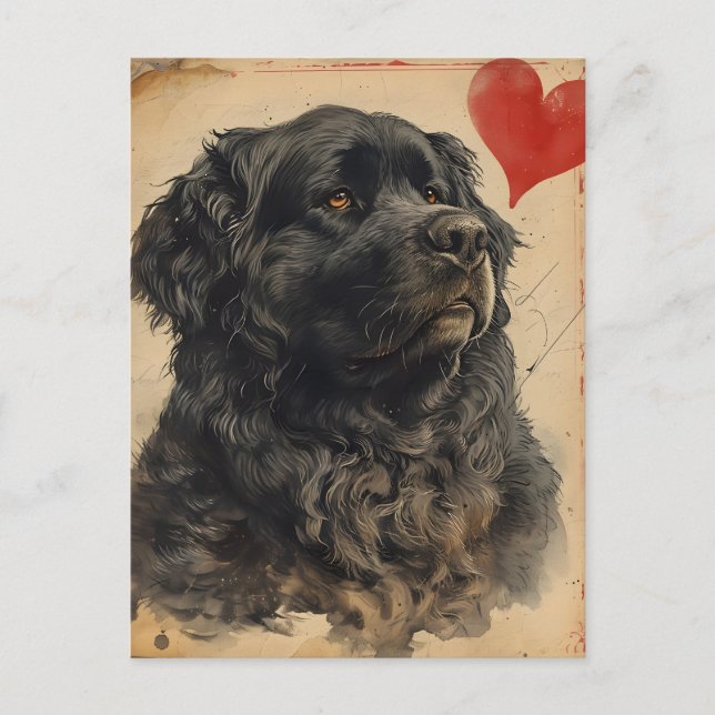 Neufundland Hund Vintag Valentinstag Postkarte (Vorderseite)