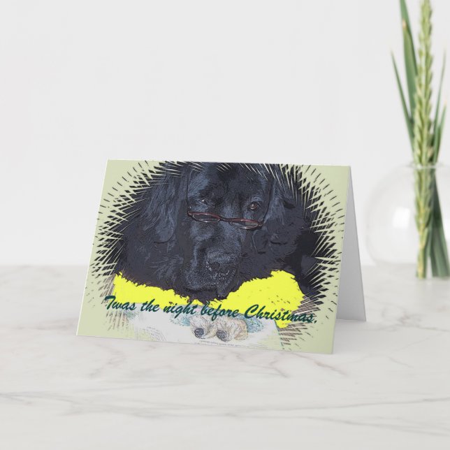 Neufundland Hund war Nacht vor Weihnachten (Vorderseite)