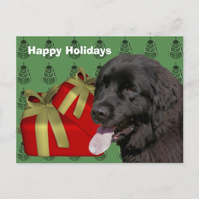 Neufundland Hund Weihnachtsfeiertag Postkarte (Vorderseite)