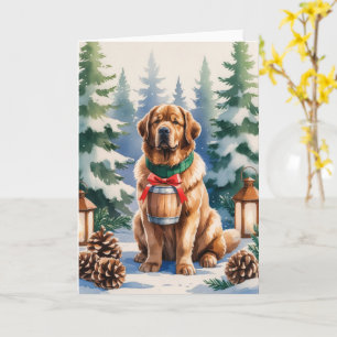Neufundland Hund Weihnachtsgrüße Karte