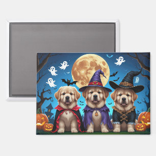 Neufundland Hunde Pumpkin Halloween Funny Magnet