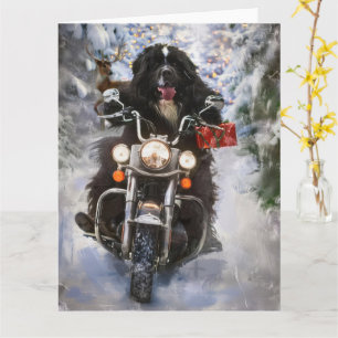 Neufundland Hunde reiten Motorrad Weihnachten Karte