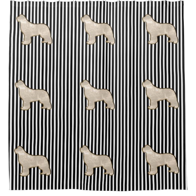 Neufundland-Hundegoldmulti Duschvorhang (Vorderseite)