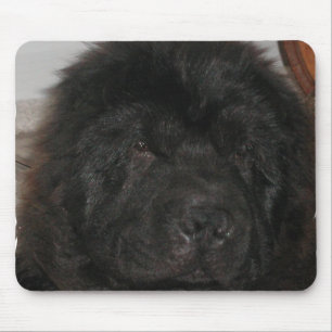 Neufundland-Hundemausunterlage Mousepad