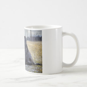 Neufundland-HundeTasse Kaffeetasse