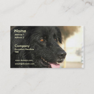 Neufundland-HundeVisitenkarte Visitenkarte