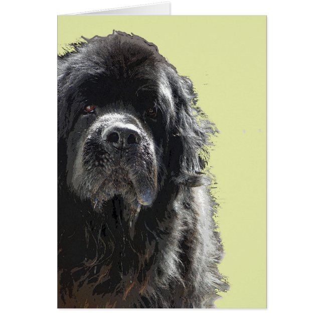 Neufundland-Hundkarte (Vorne)