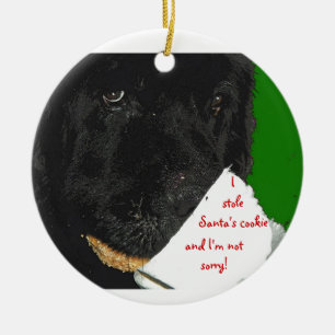 Neufundland-Hundweihnachtsverzierung Keramikornament