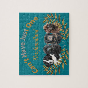 Neufundland kann gerade ein nicht haben puzzle