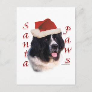 Neufundland (Landbesitzer) Santa Paws Feiertagspostkarte