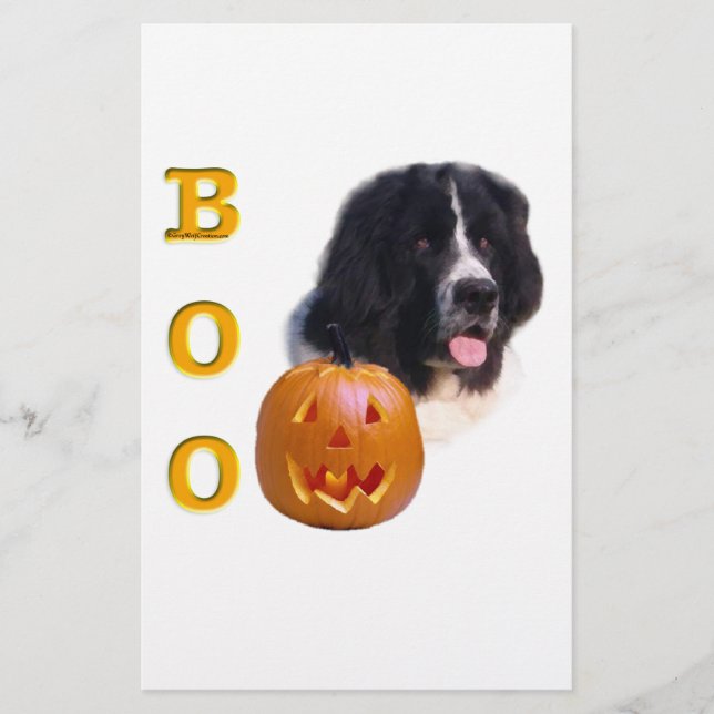 Neufundland Landseer Halloween Boo (Vorderseite)