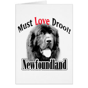 Neufundland muss Liebe Drool