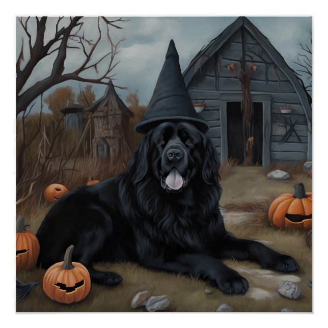 Neufundland Pumpkins Halloween Beängstigend Poster (Vorderseite)