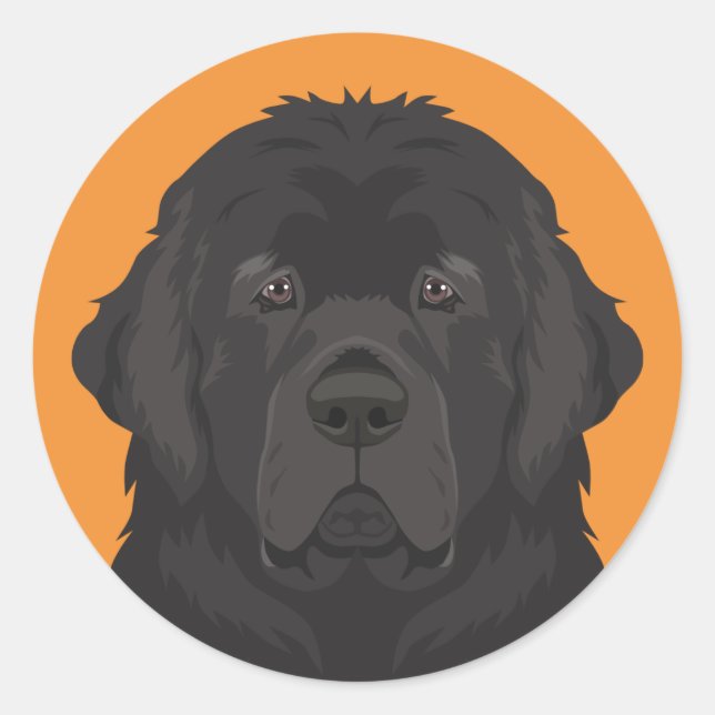 Neufundland Runder Aufkleber (Vorderseite)