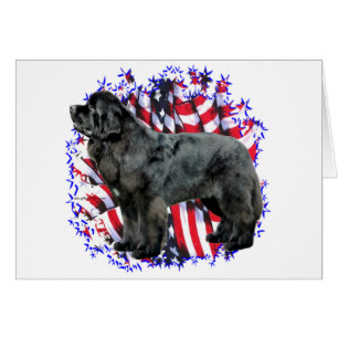 Neufundland (schwarz)