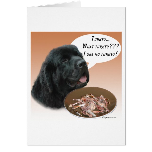 Neufundland (schwarz) Türkei (Vorne)