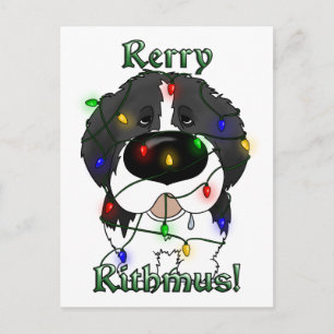 Neufundland Weihnachtsbeleuchtung Feiertagspostkarte