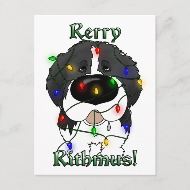 Neufundland Weihnachtsbeleuchtung Feiertagspostkarte (Vorderseite)