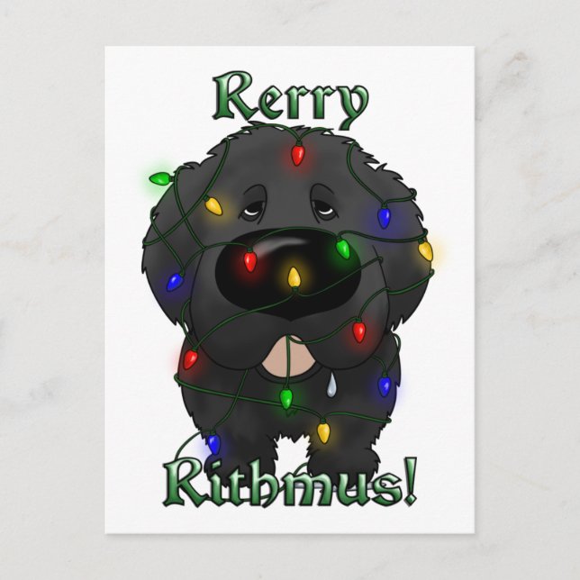 Neufundland Weihnachtsbeleuchtung Feiertagspostkarte (Vorderseite)