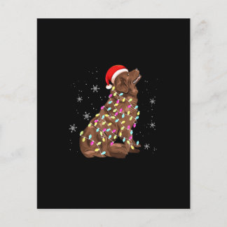 Neufundland - Weihnachtslicht | Funny Dog Lover