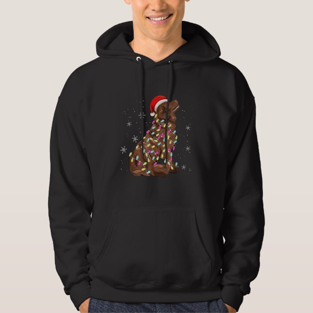 Neufundland - Weihnachtslicht | Funny Dog Lover Hoodie (Vorderseite)