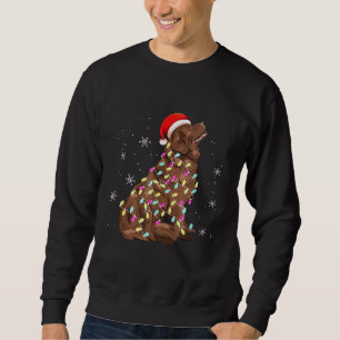 Neufundland - Weihnachtslicht   Funny Dog Lover Sweatshirt