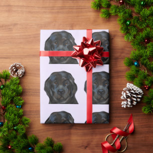 Neufundländer Geschenkpapier