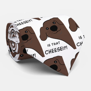 Neufundländer Hund Braun Ist das Käse Krawatte