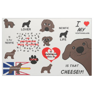 Neufundländer-Hund Braun Ist das Käse Stoff