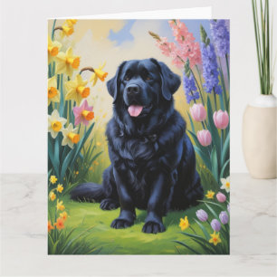 Neufundländer-Hund Frühlingsblumen Malerei Karte