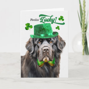 Neufundländer Hund fühlt sich am St. Patrick's Day Feiertagskarte