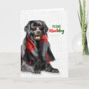 Neufundländer-Hund Lustige Flöhe Navidog Weihnacht Feiertagskarte