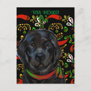 Neufundländer Hund Postkarte