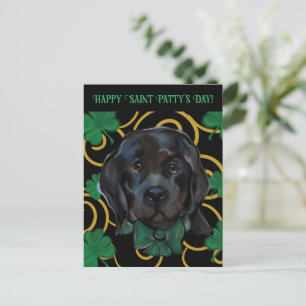 Neufundländer Hund Postkarte