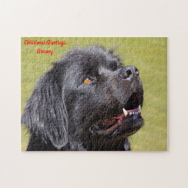 Neufundländer Hund. Puzzle (Horizontal)