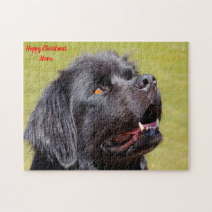 Neufundländer Hund. Puzzle