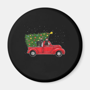 Neufundländer Hund Weihnachten Auf Rotem Auto LKW  Magnet