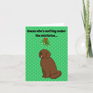 Neufundländer-Hund Weihnachten Karte