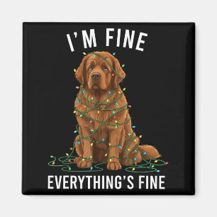 Neufundländer-Hund Weihnachten Mir geht's gut Alle Magnet