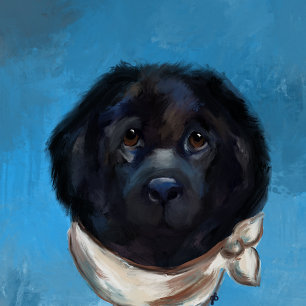 Neufundländer                leinwanddruck