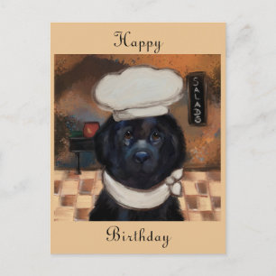 Neufundländer postkarte