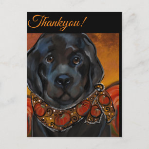 Neufundländer Postkarte