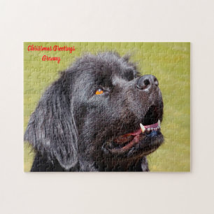 Neufundländer Puzzle