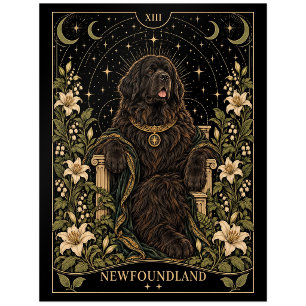 Neufundländer, Sternen-Tarot-Kunst Postkarte