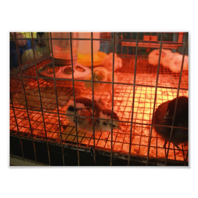 Neugeborene Kind-Kick im Inkubator Fotodruck (Vorne)