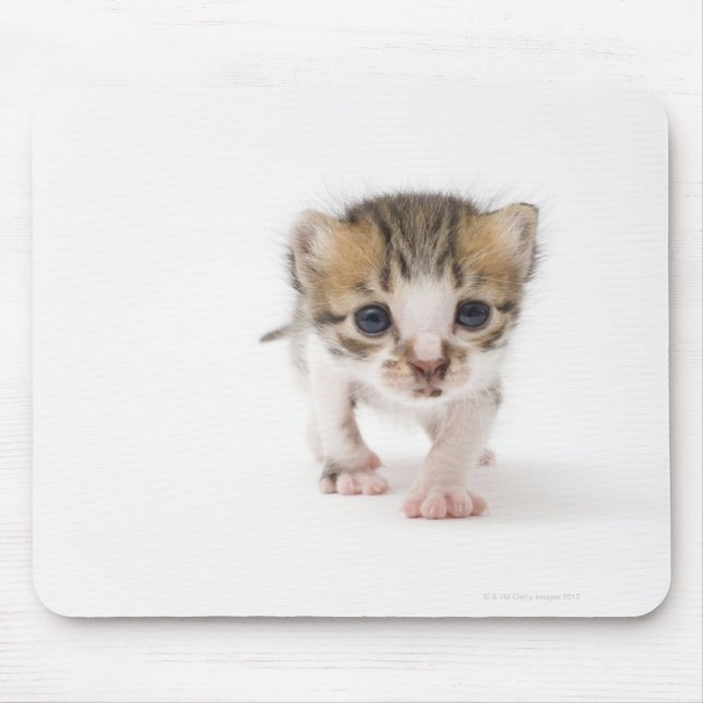 Neugeborene Mousepad (Vorne)