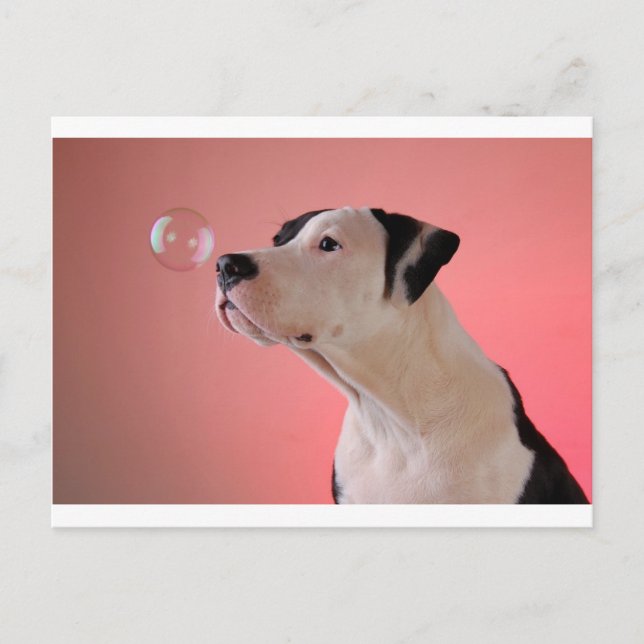 Neugeborene Postkarte (Vorderseite)