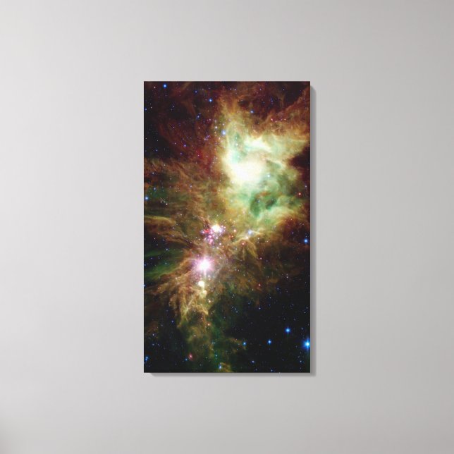 Neugeborene Sterne im Weihnachtsbaum-Cluster Leinwanddruck (Vorderseite)